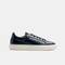 HASTINGS 1738-2950ZY, BLUE, swatch
