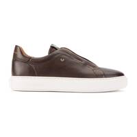 HASTINGS 1738-2951CY, OLMO, small