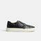 HASTINGS 1738-2957CY, BLACK, swatch