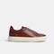 HASTINGS 1738-2951L, CAFE, swatch