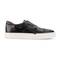 HASTINGS 1738-2957CY, BLACK, swatch