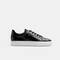 HASTINGS 1738-2950S, BLACK, swatch