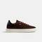 HASTINGS 1738-2950WY, DARKBROWN, swatch