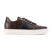 HASTINGS 1738-2958CY, OLMO, small