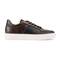 HASTINGS 1738-2958CY, OLMO, swatch